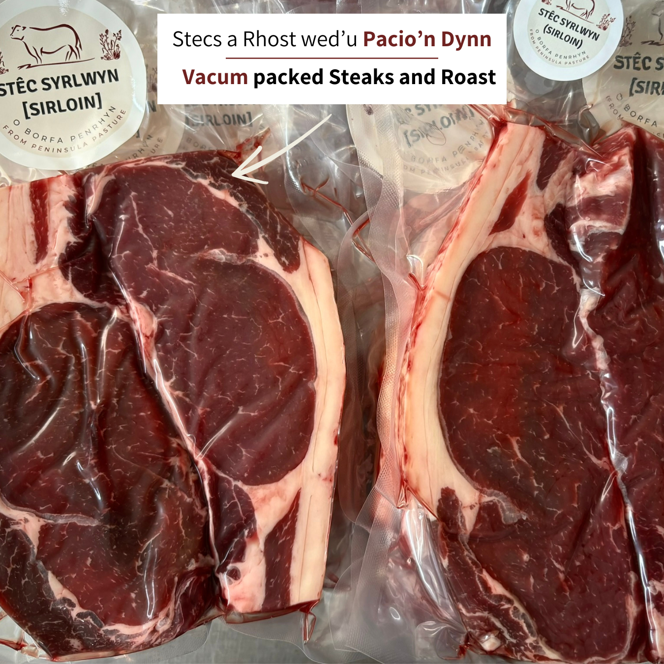 Carreg Beef