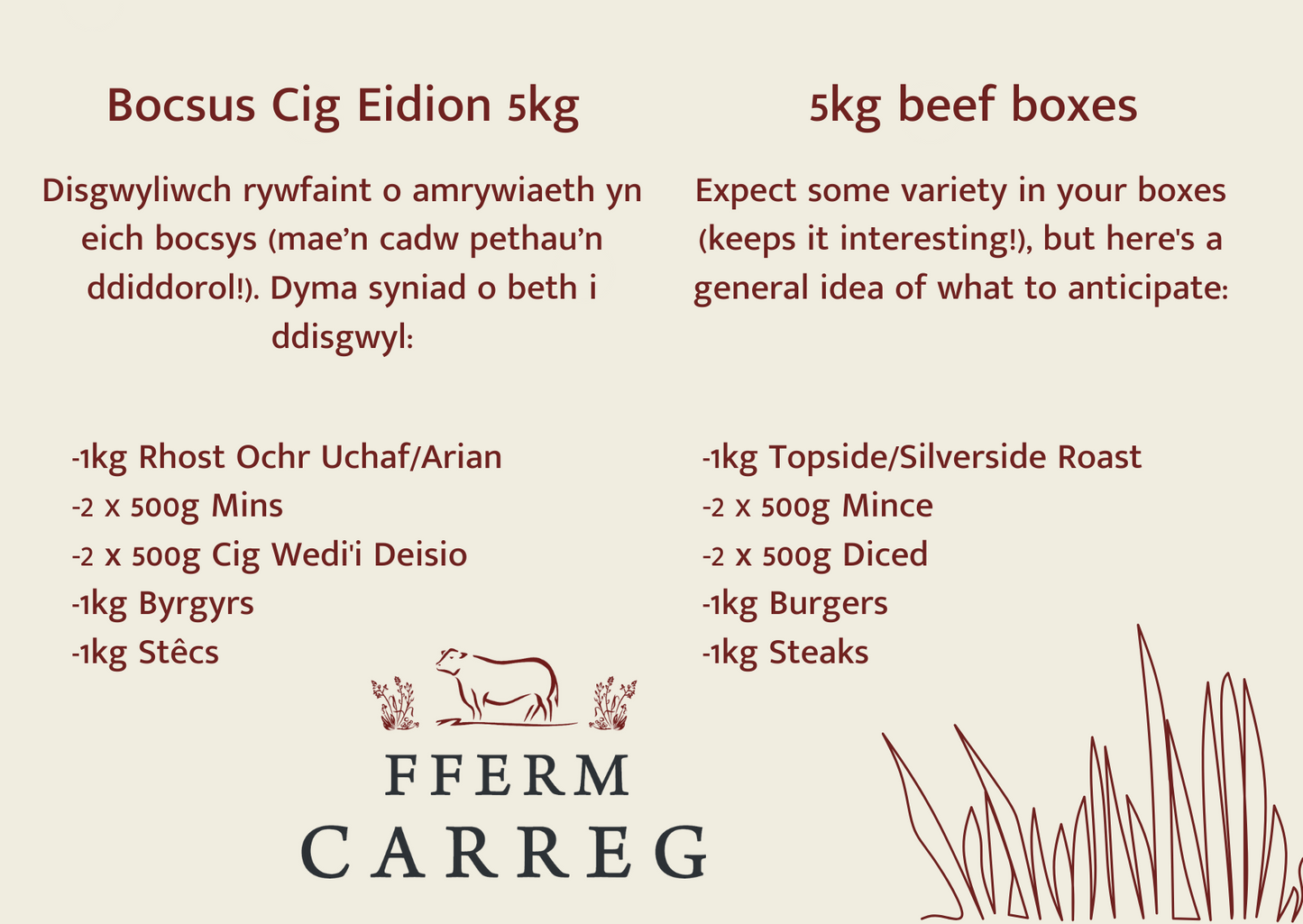 Carreg Beef